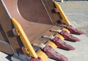 Web images (3)